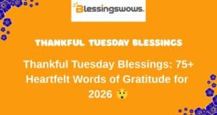 Thankful Tuesday Blessings